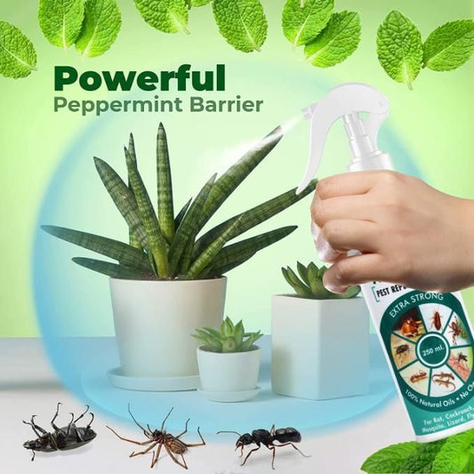All In Pest Repellent Spray (250ml)