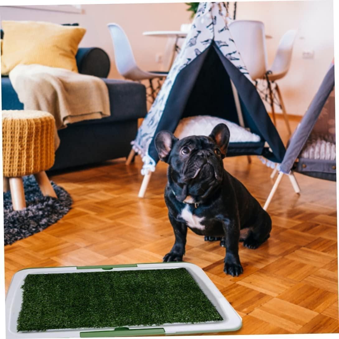 Puppy Potty Pad